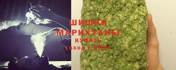дмт Богданович