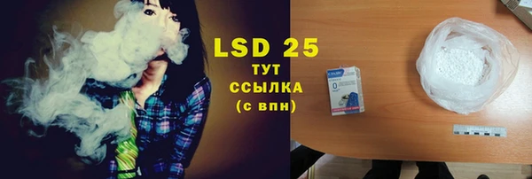 дмт Богданович