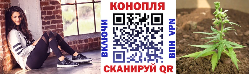Шишки марихуана SATIVA & INDICA  Купить  Кемерово 